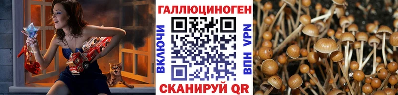 Псилоцибиновые грибы MAGIC MUSHROOMS  Купить  Кострома 